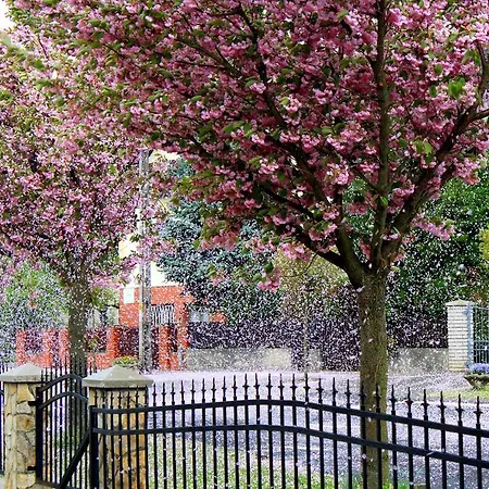 Anett Apartmán Hévíz