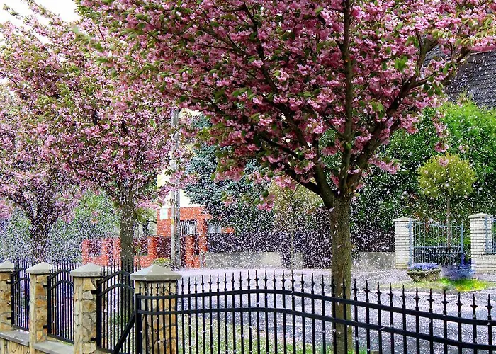 Anett Apartament Héviz